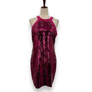 NEW Sam Edelman Hot Pink Fancy Sequin Sleeveless Sheath Dress Size 6 Silver NWT